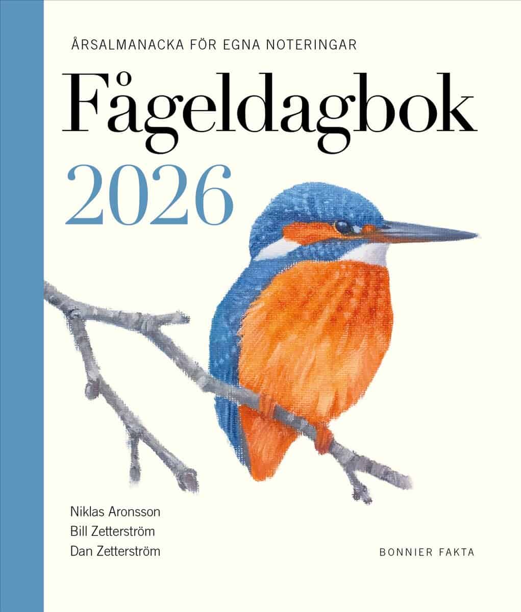 Aronsson, Niklas ; Zetterström, Bill ; Zetterström, Dan : Fågeldagbok 2026