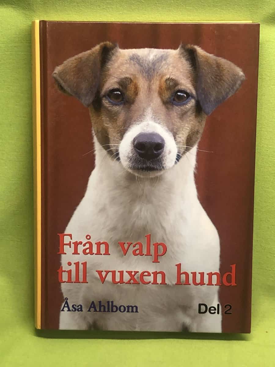 Åsa Ahlbom : Från valp till vuxen hund  - del 2