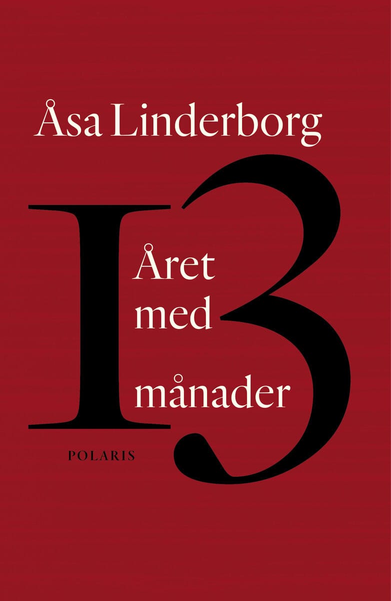 Åsa Linderborg : Året med 13 månader : en dagbok