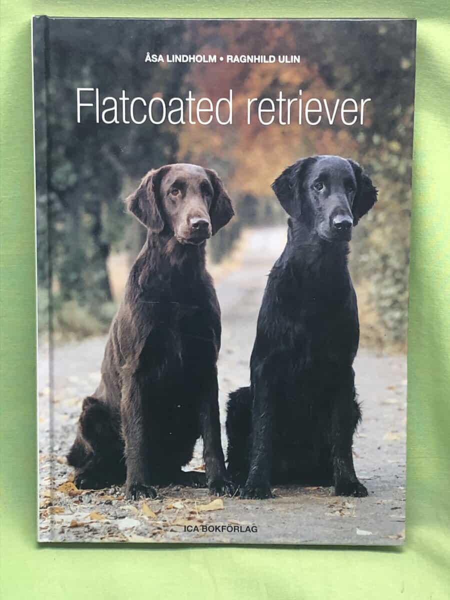 Åsa Lindholm : Flatcoated retriever