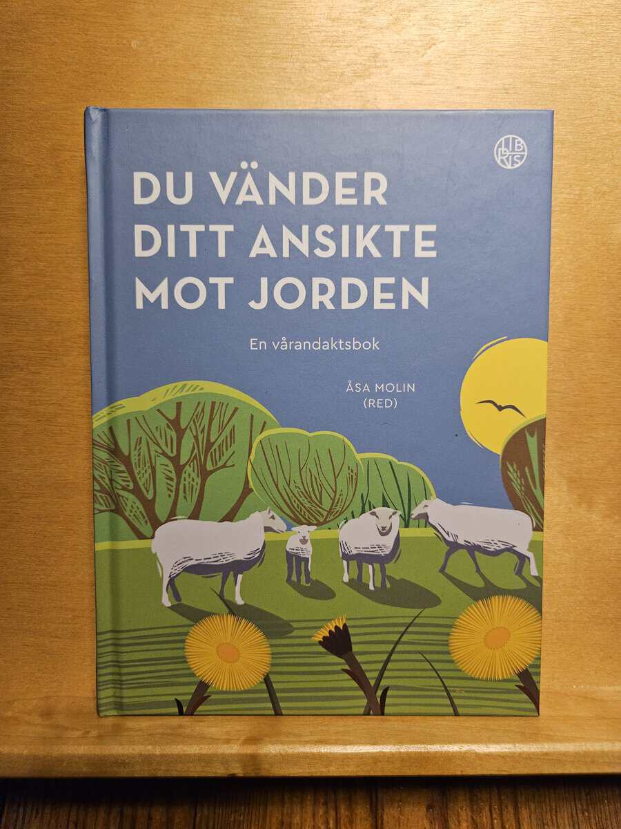 Åsa Molin : Du vänder ditt ansikte mot jorden