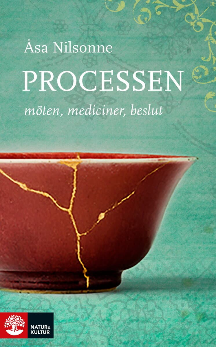Åsa Nilsonne : Processen : möten, mediciner, beslut