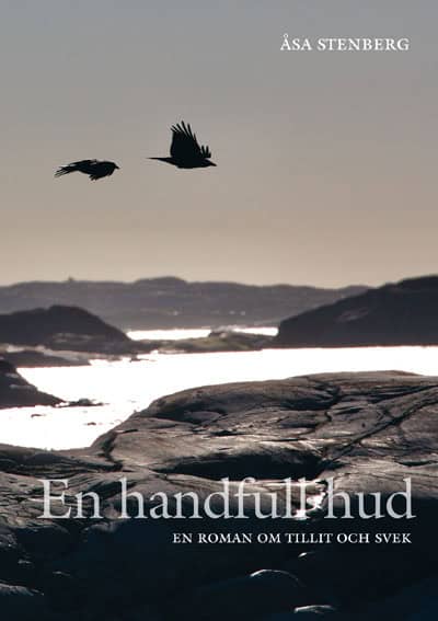 Åsa Stenberg : En handfull hud - En roman om tillit och svek