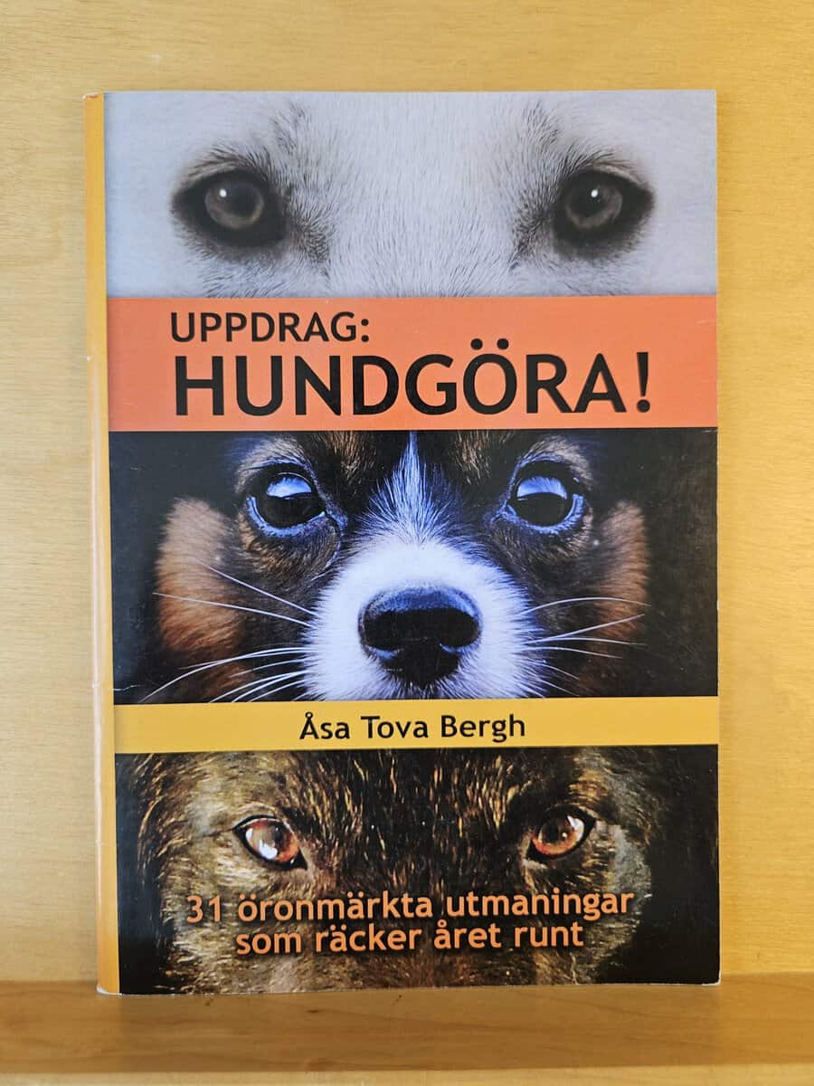 Åsa Tova Bergh : Uppdrag