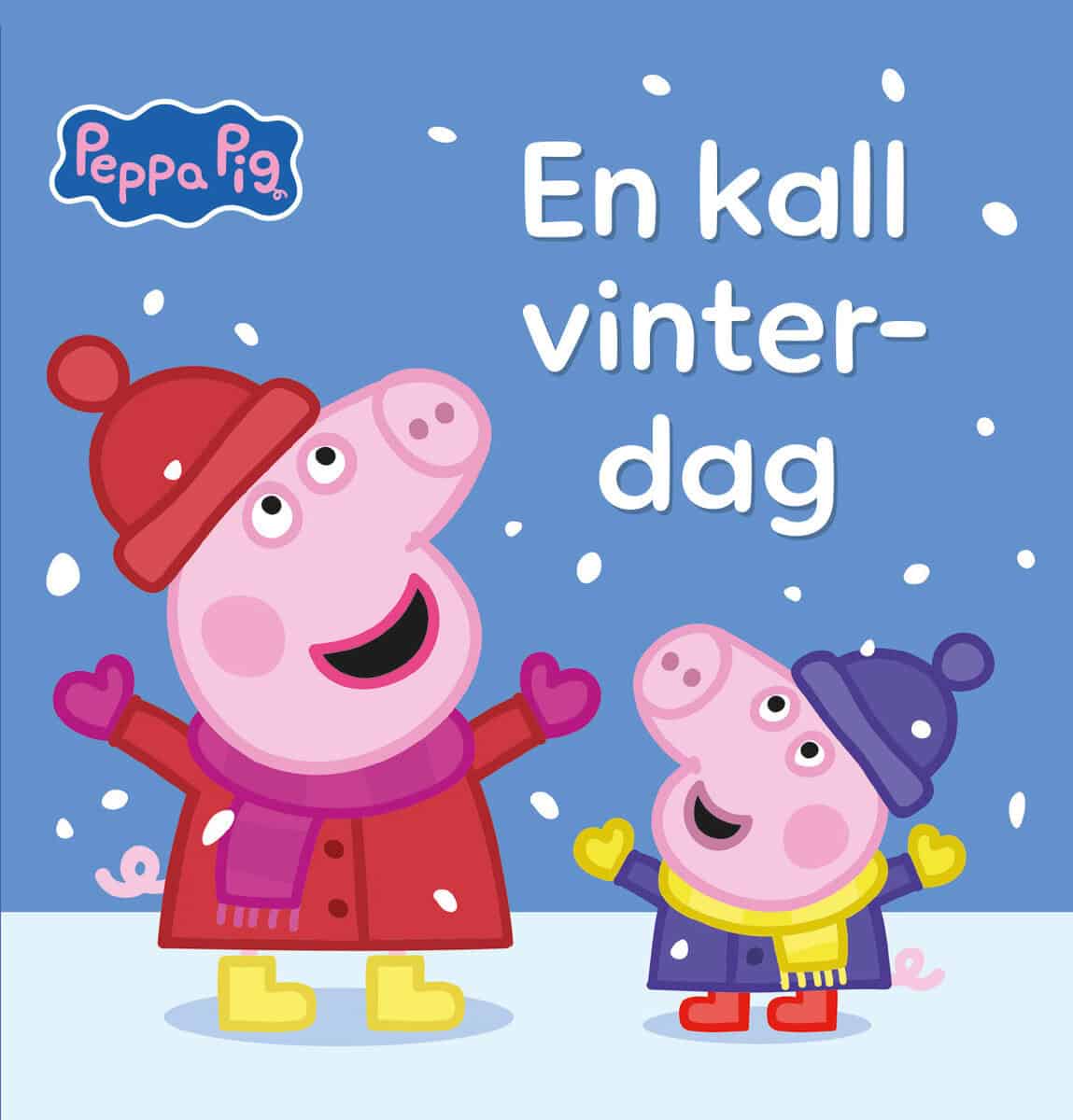Astley, Neville ; Baker, Mark : En kall vinterdag