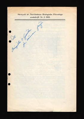 Astrid Lidfeldt : Utdrag ur en uppsats kallad