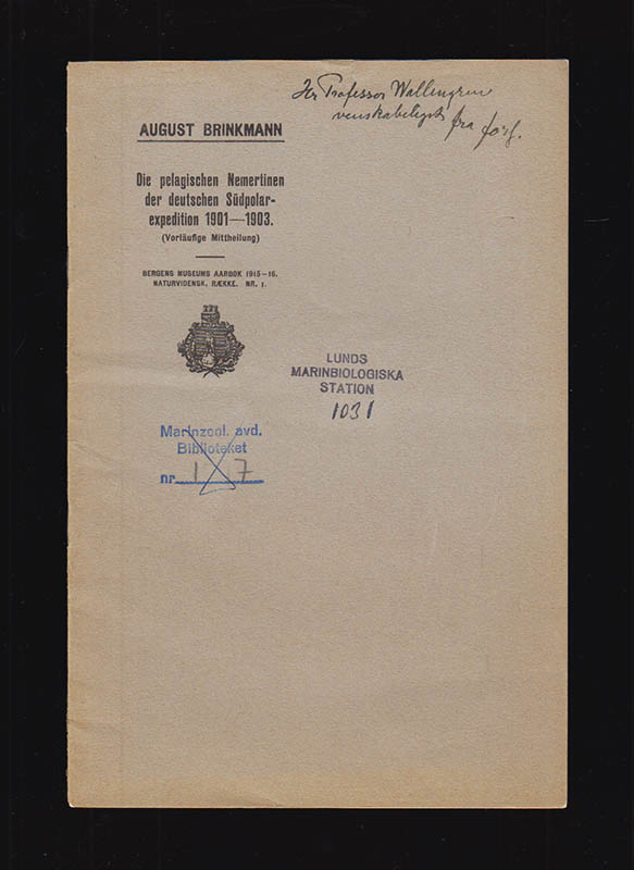 August Brinkmann : Die pelagischen Nemertinen der deutschen Südpolarexpedition 1901-1903. (Vorläufige Mitteilung)