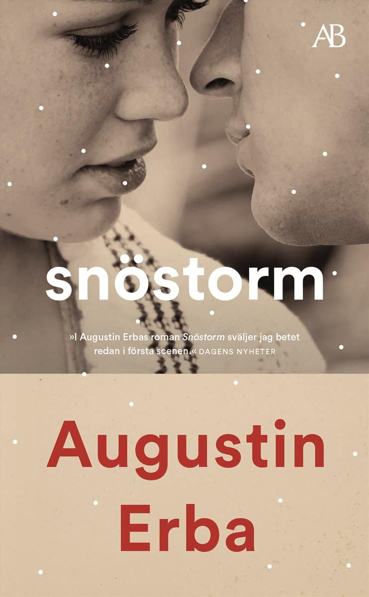 Augustin Erba : Snöstorm