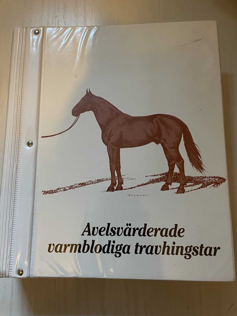 Avelsvärderade varmblodiga travhingstar