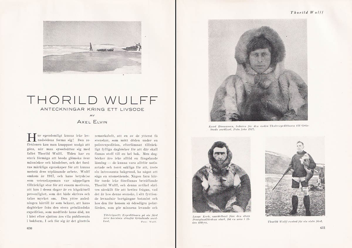 Axel Elvin : Thorild Wulff. Anteckningar kring ett livsöde