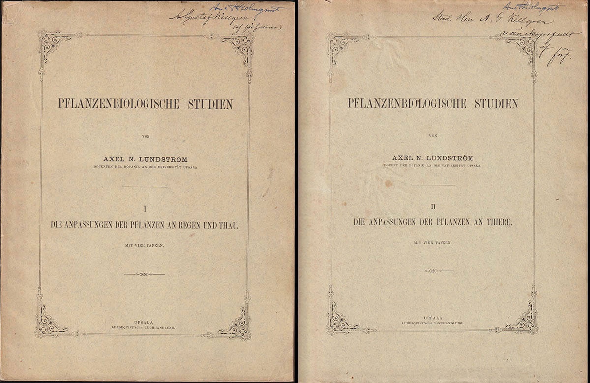 Axel Nicolaus Lundström : Pflanzenbiologische Studien. I-II (komplett - dedikation)