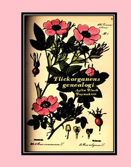 Aylin Bloch Boynukisa : Flickorganens genealogi