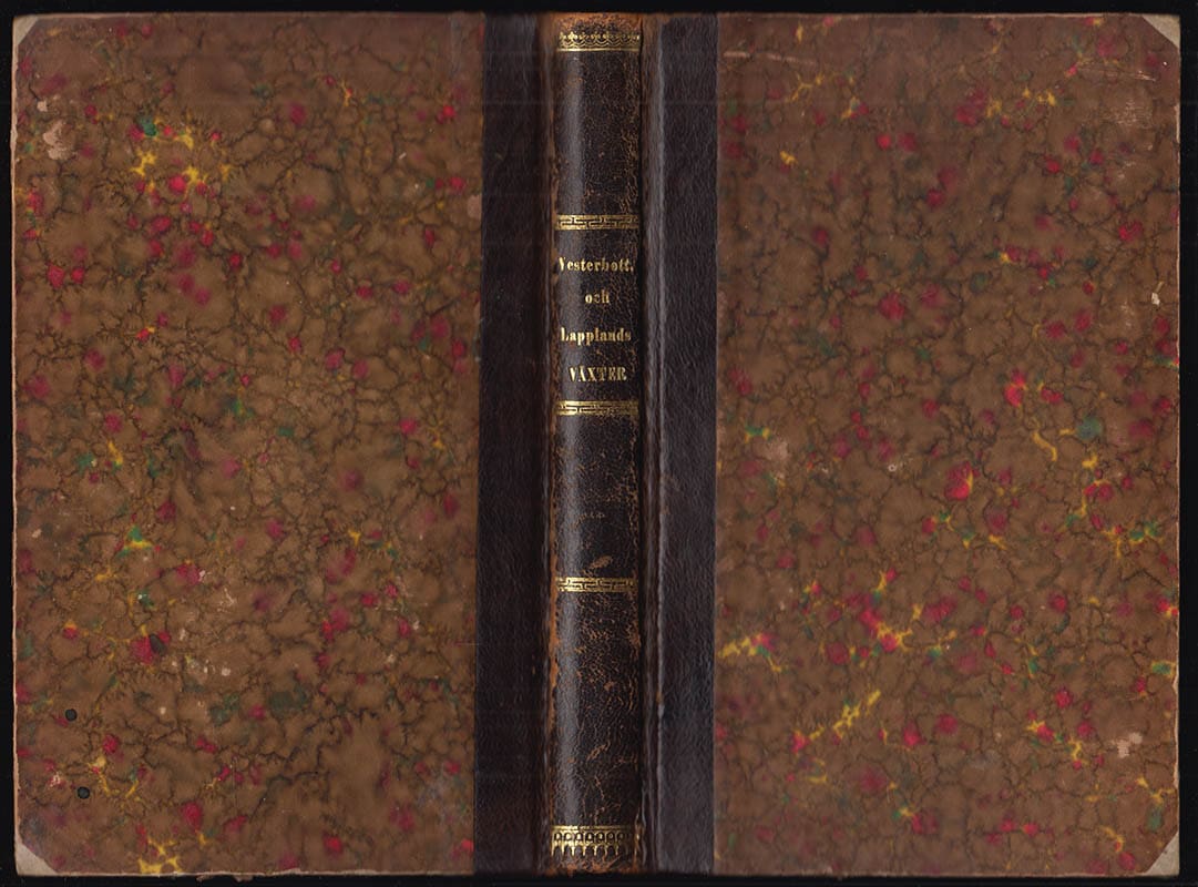 Backman, C. J. (Carl Johan, 1822-1898) ; Holm, V. F. (Viktor Ferdinand, 1834-1894) : Elementarflora öfver Vesterbottens och Lapplands fanerogamer och bräkenartade växter