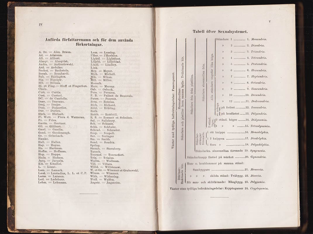 Backman, C. J. (Carl Johan, 1822-1898) ; Holm, V. F. (Viktor Ferdinand, 1834-1894) : Elementarflora öfver Vesterbottens och Lapplands fanerogamer och bräkenartade växter