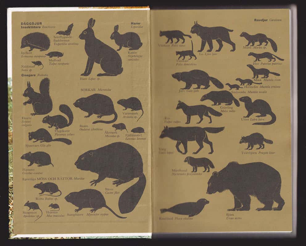 Bang, Preben ; Dahlström, Preben : Spårboken