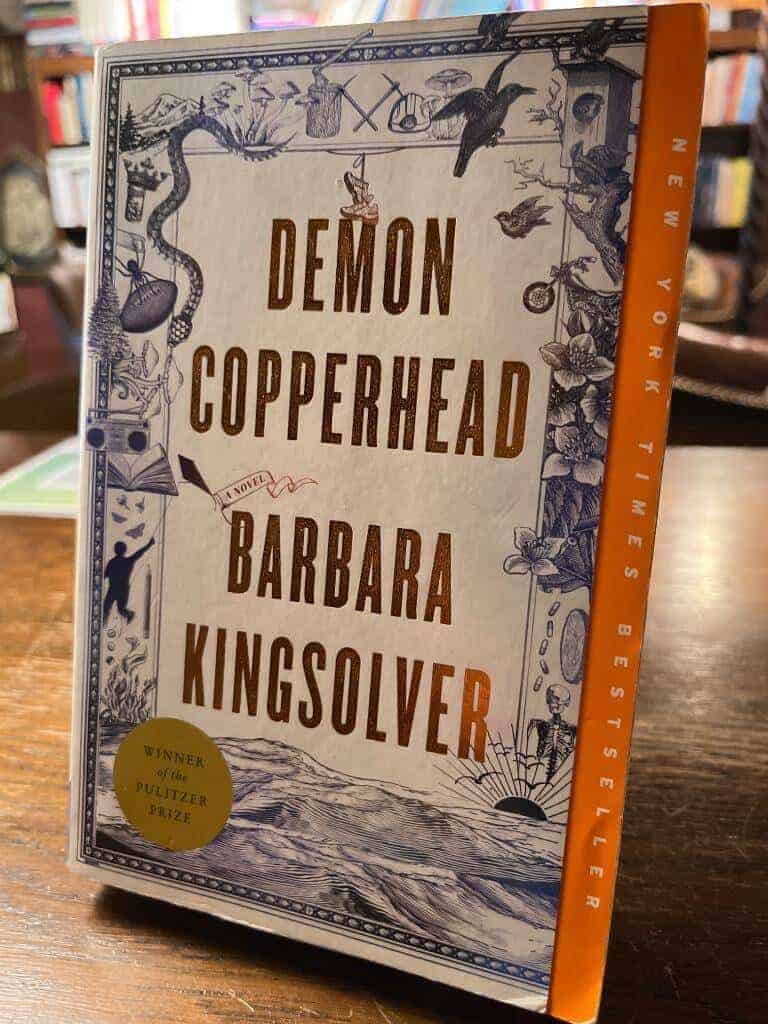 Barbara Kingsolver : Demon Copperhead