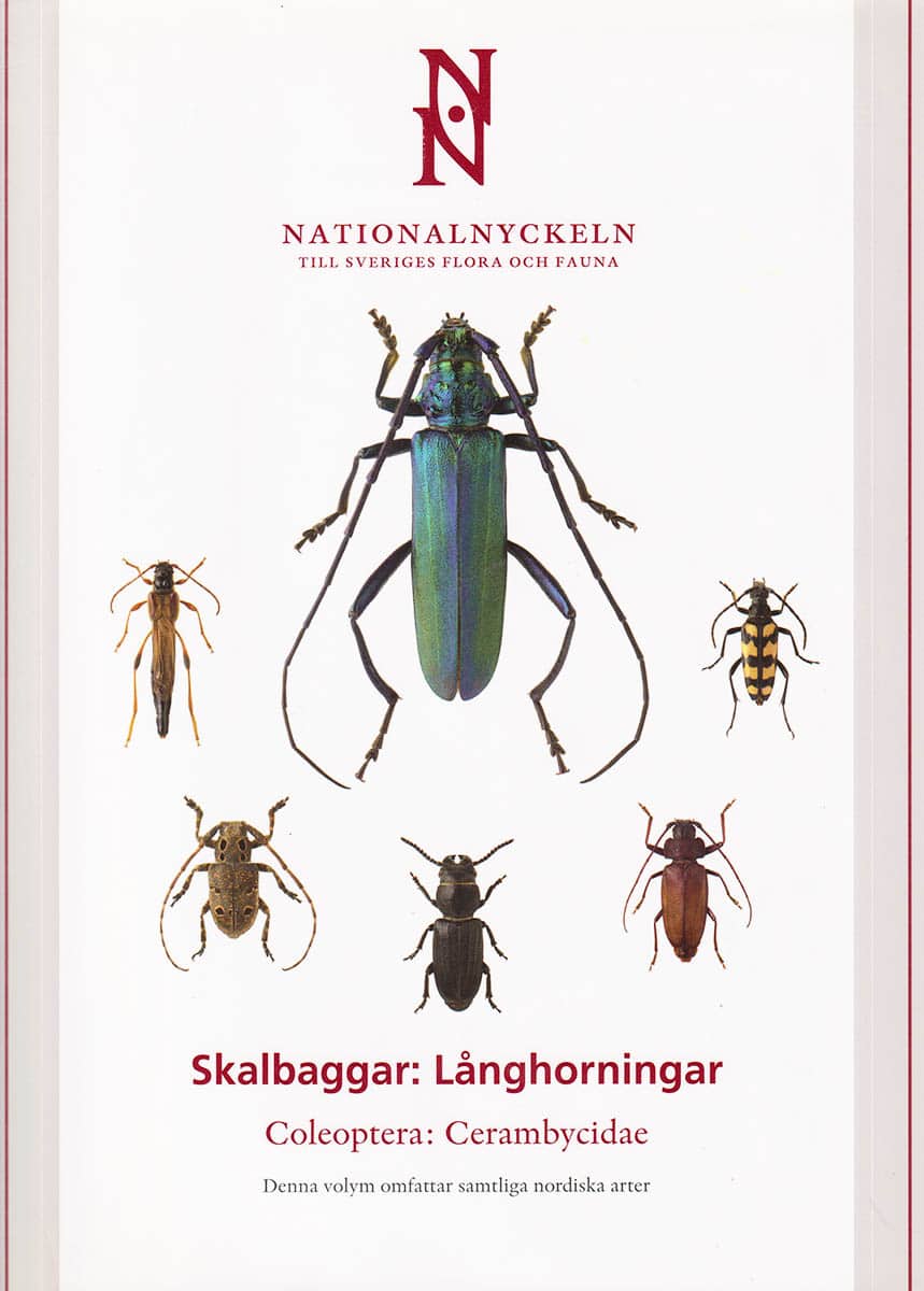 Bengt Ehnström : Skalbaggar