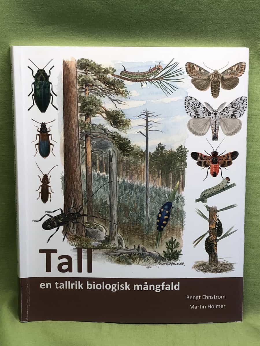 Bengt Ehnström : Tall