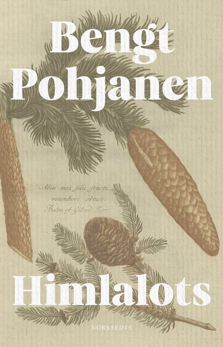 Bengt Pohjanen : Himlalots