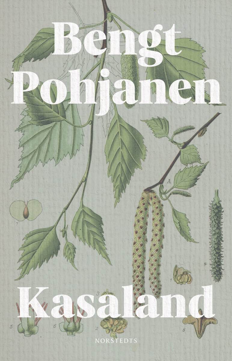 Bengt Pohjanen : Kasaland