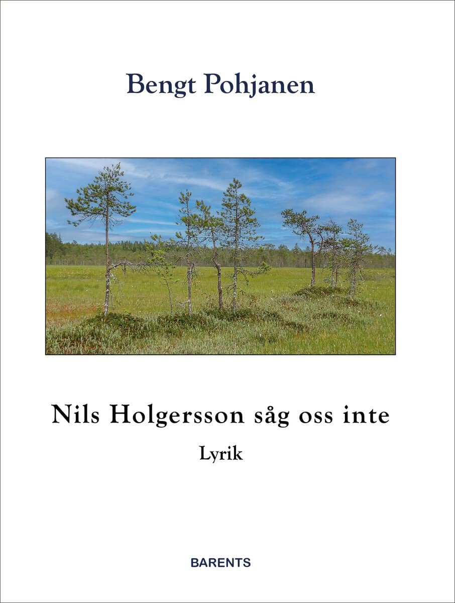 Bengt Pohjanen : Nils Holgersson såg oss inte