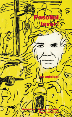 Bergdahl, Gunnar ; Hedström, Kajsa (red) : Pasolini lever!