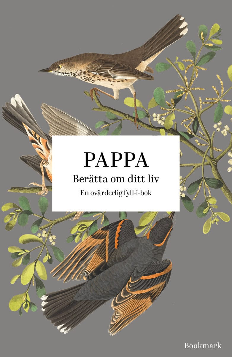Bergkvist, Josefine ; Eriksson, Louise [red.] : Pappa