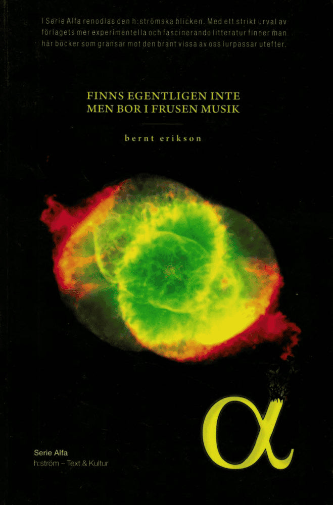 Bernt Erikson : Finns egentligen inte men bor i en frusen musik