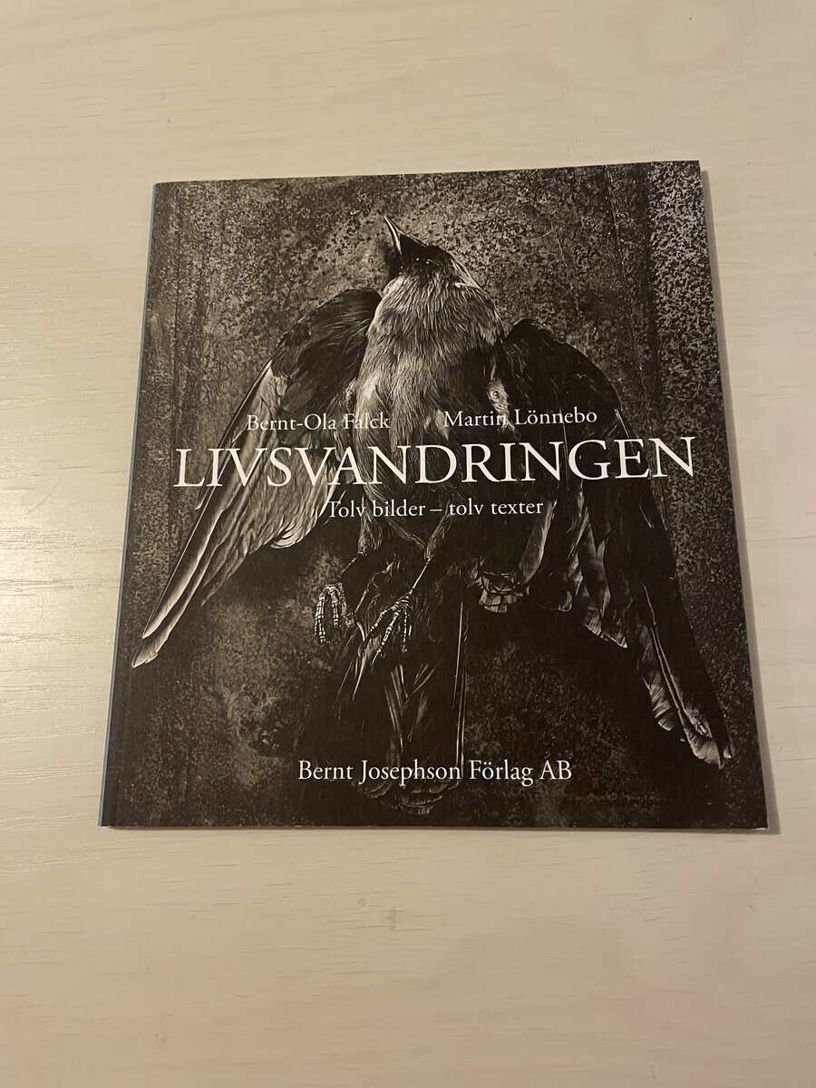 Bernt-Ola Falck : Livsvandringen tolv bilder - tolv texter