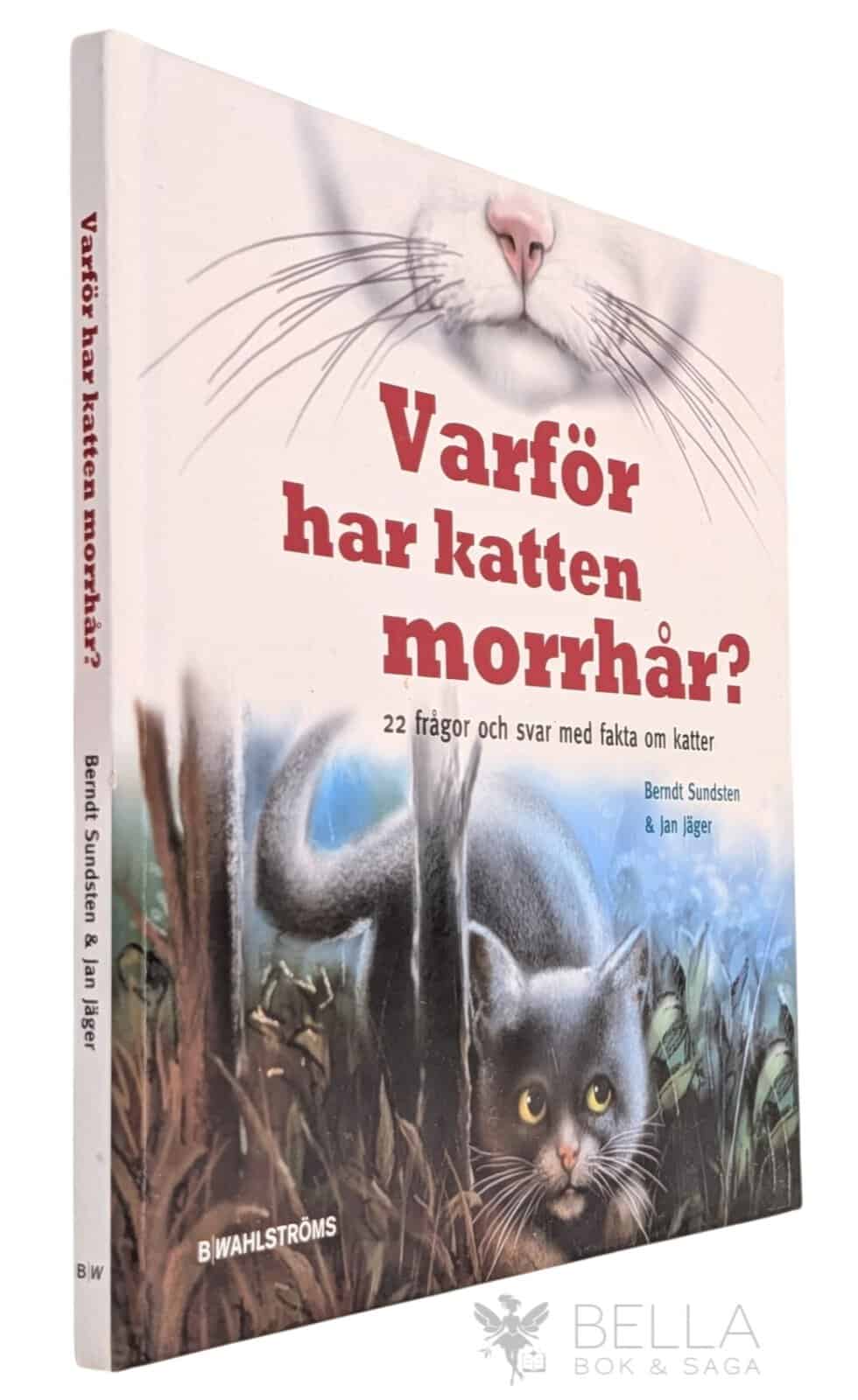 Bernt Sundsten : Varför har katten morrhår?