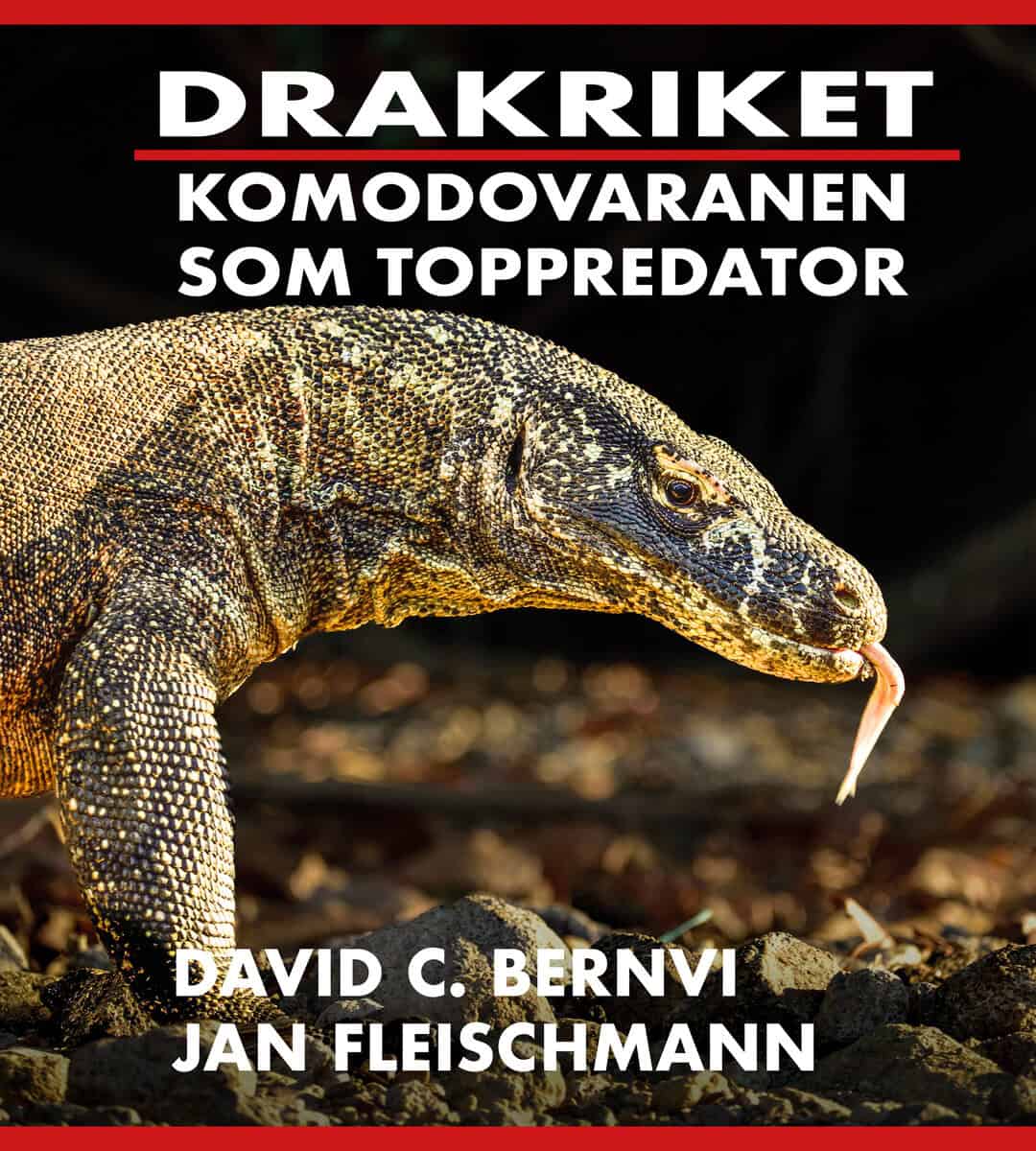 Bernvi, David C. ; Fleischmann, Jan : Drakriket : komodovaranen som toppredator