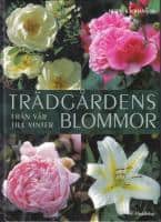 Bertil K Johanson : Trädgårdens blommor