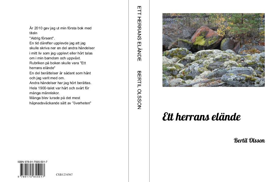 Bertil Olsson : Ett herrans elände