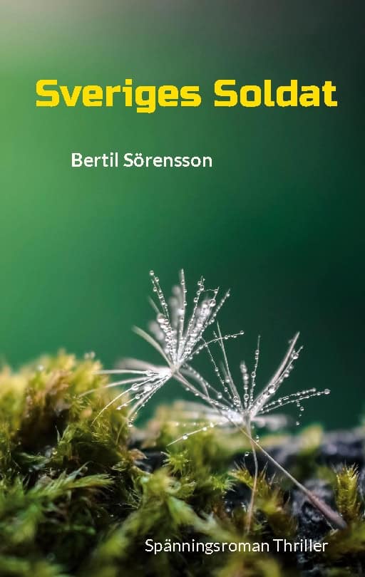 Bertil Sörensson : Sveriges soldat