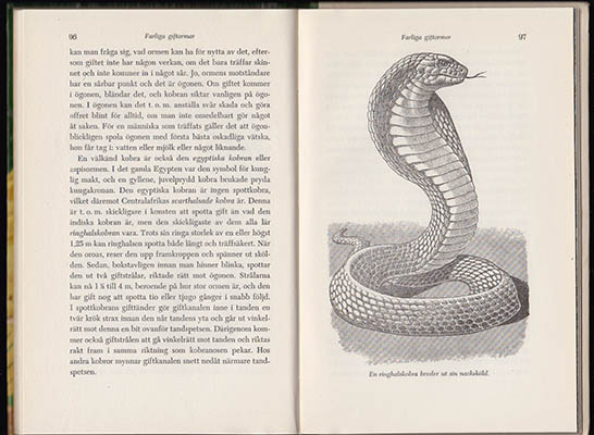 Bessie M Hecht : En bok om ormar