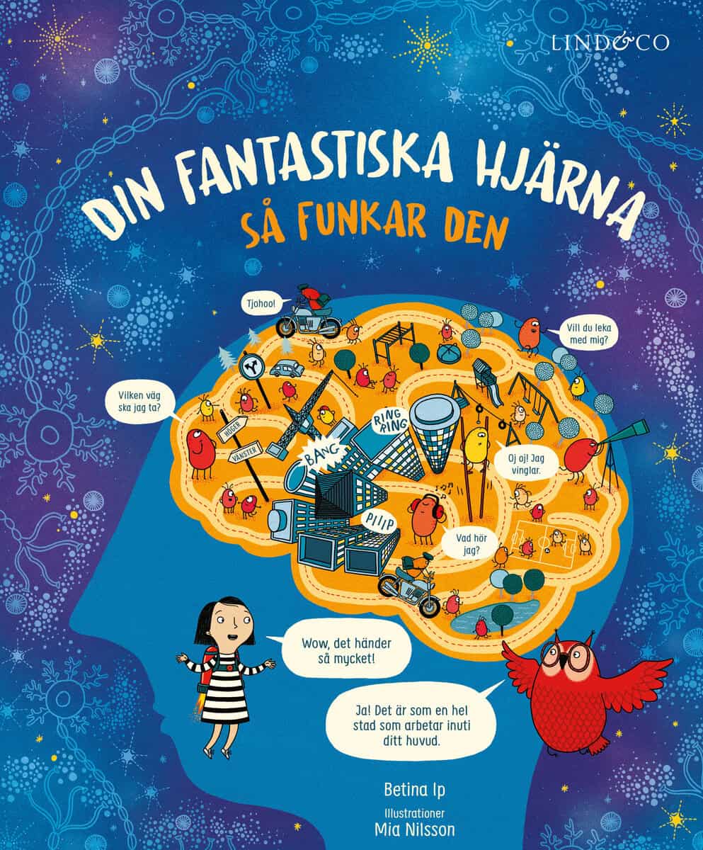 Betina Ip : Din fantastiska hjärna : så funkar den