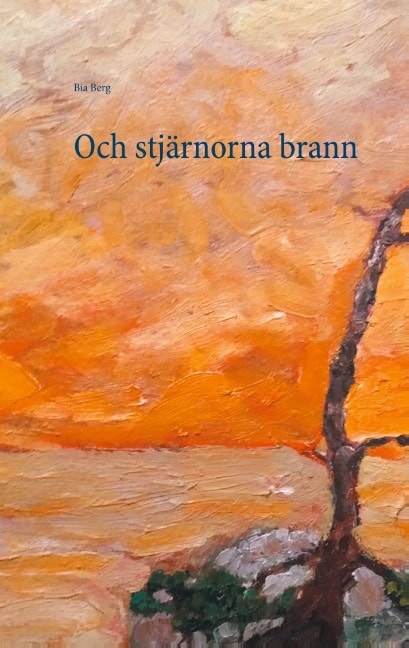 Bia Berg : Och stjärnorna brann
