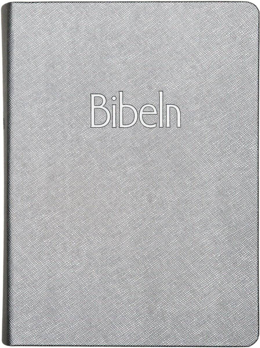 Bibel 2026 silver
