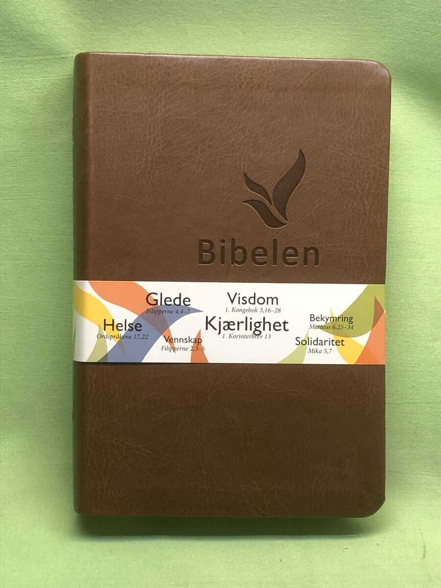 Bibelen (på norska 2011 års översättning)