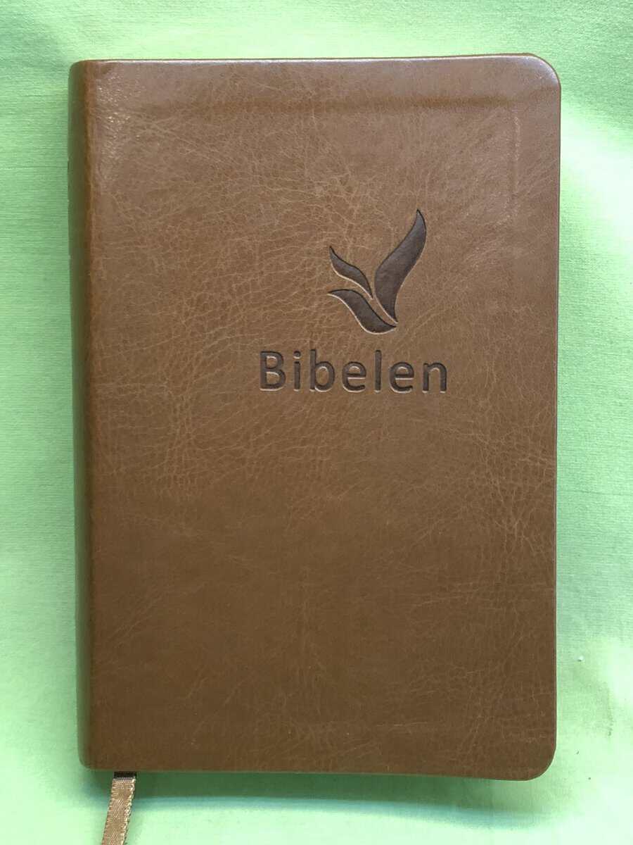 Bibelen (på norska 2011 års översättning)