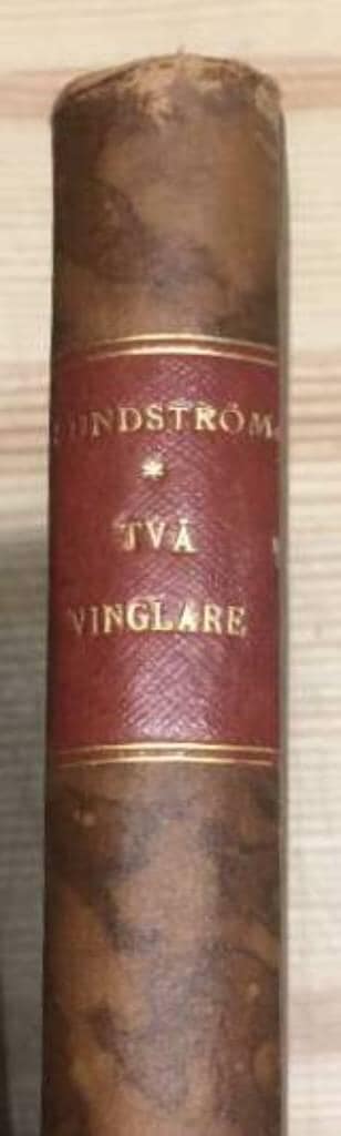 Bill Shark : Två vinglare - upplevelse och skildringar från Stockholms byggnadscvärld på 1880- och -90-talen
