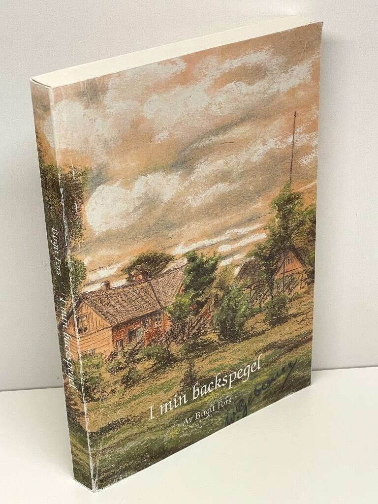 Birgit Fors : I min backspegel
