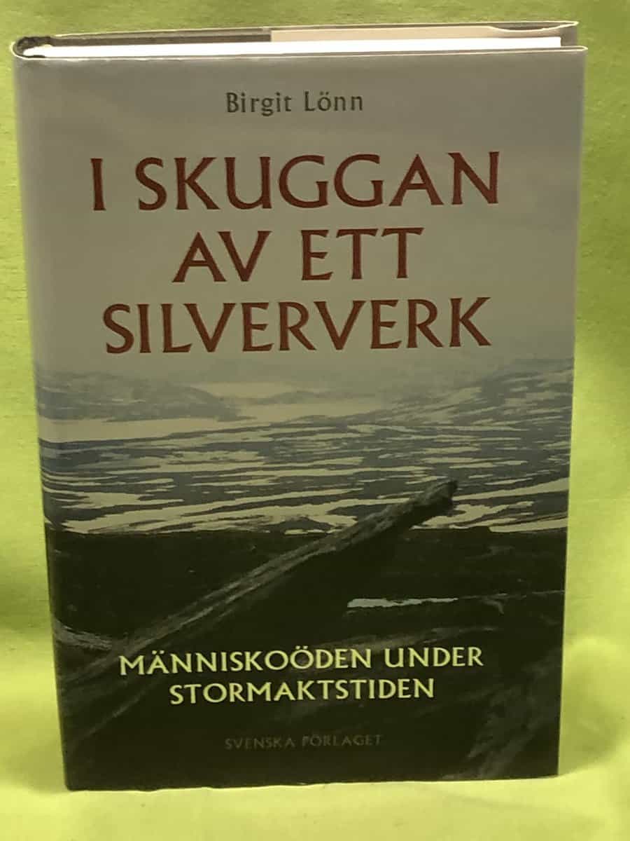 Birgit Lönn : I skuggan av ett silververk