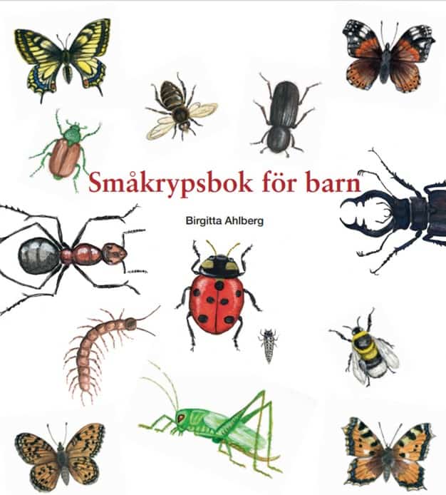 Birgitta Ahlberg : Småkrypsbok för barn