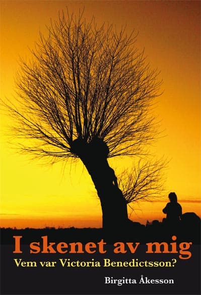 Birgitta Åkesson : I skenet av mig
