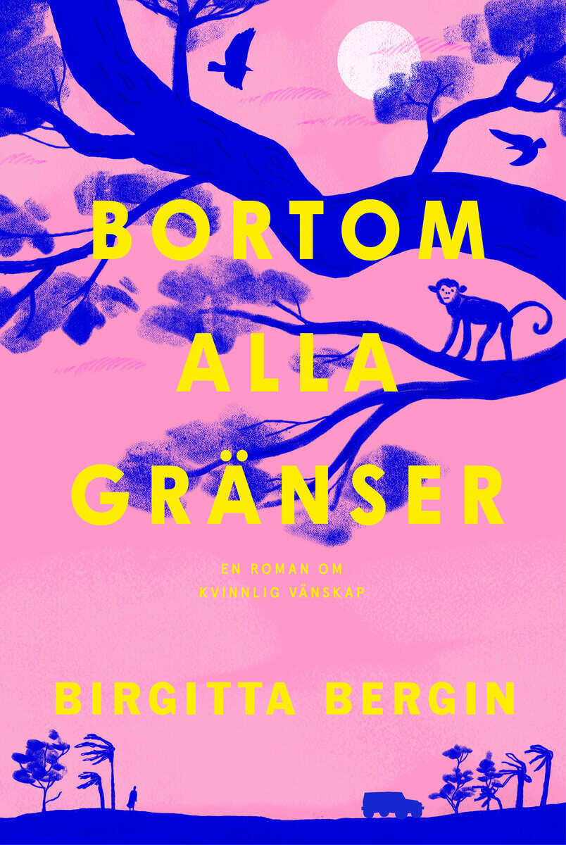 Birgitta Bergin : Bortom alla gränser