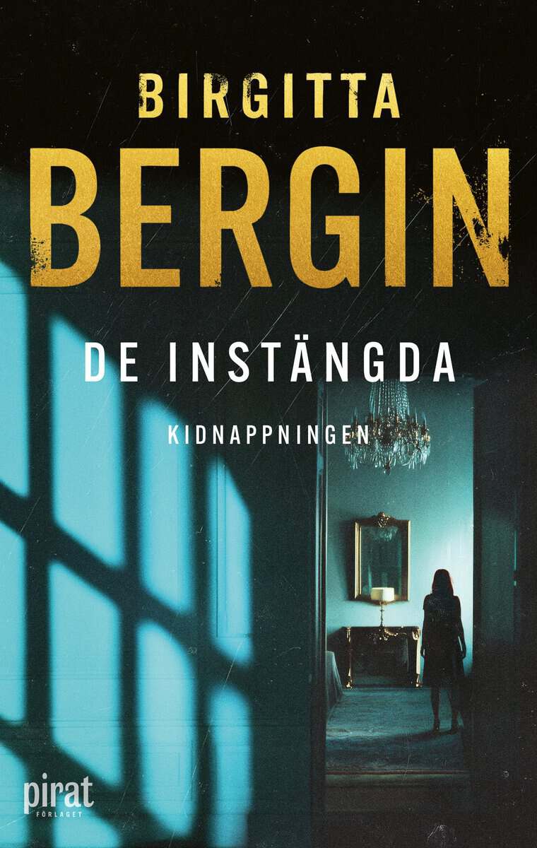 Birgitta Bergin : Kidnappningen