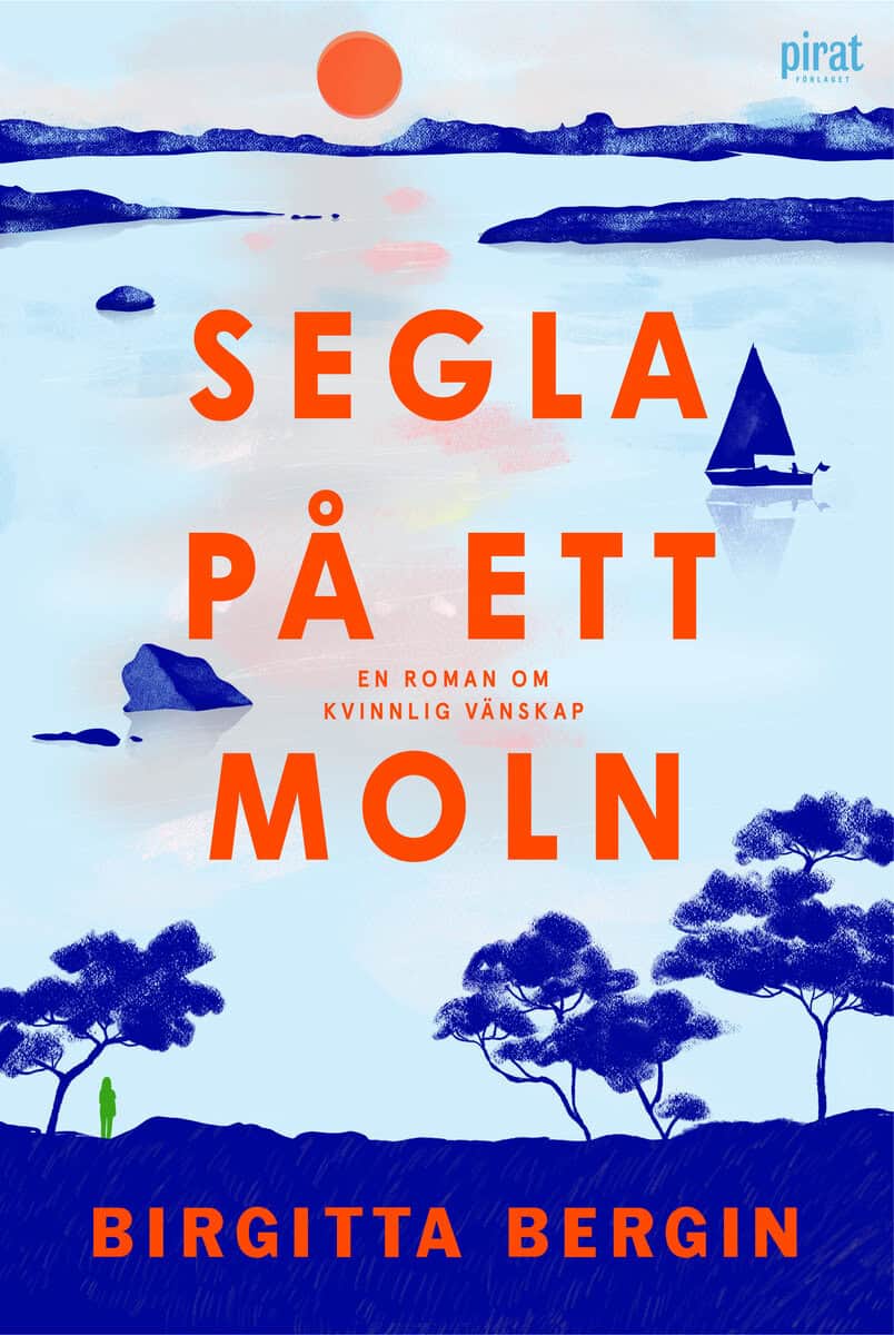 Birgitta Bergin : Segla på ett moln