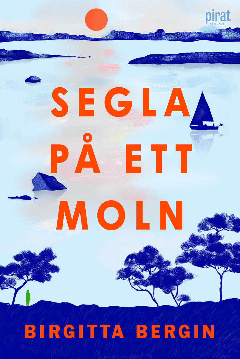 Birgitta Bergin : Segla på ett moln