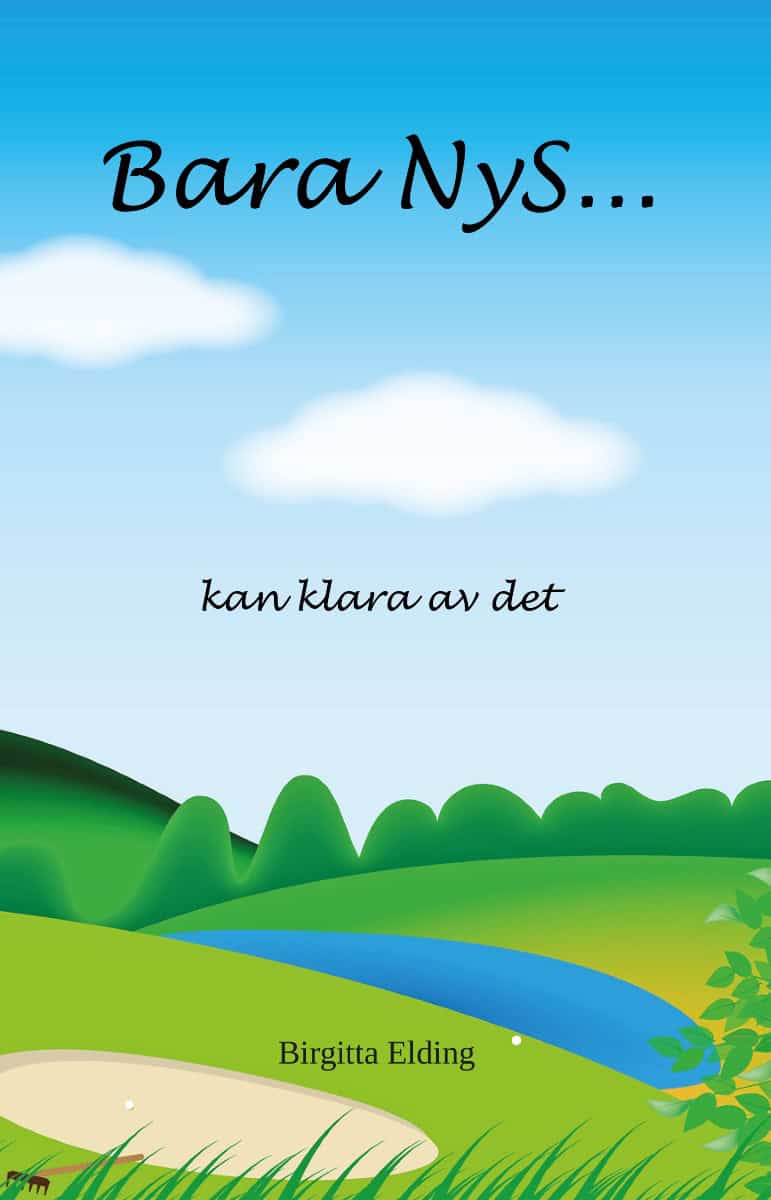Birgitta Elding : Bara NyS... kan klara av det